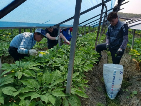 임직원 농정활동 대표 이미지